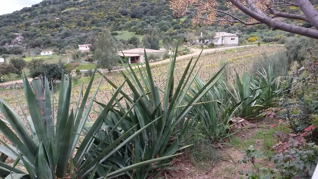 Agriturismo Su Solianu Bari Sardo