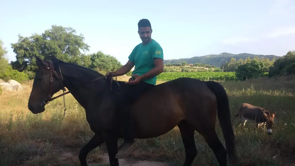 Agriturismo Su Solianu Bari Sardo Alloggio per agriturismo