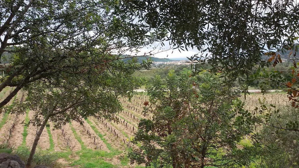 Agriturismo Su Solianu Bari Sardo Alloggio per agriturismo