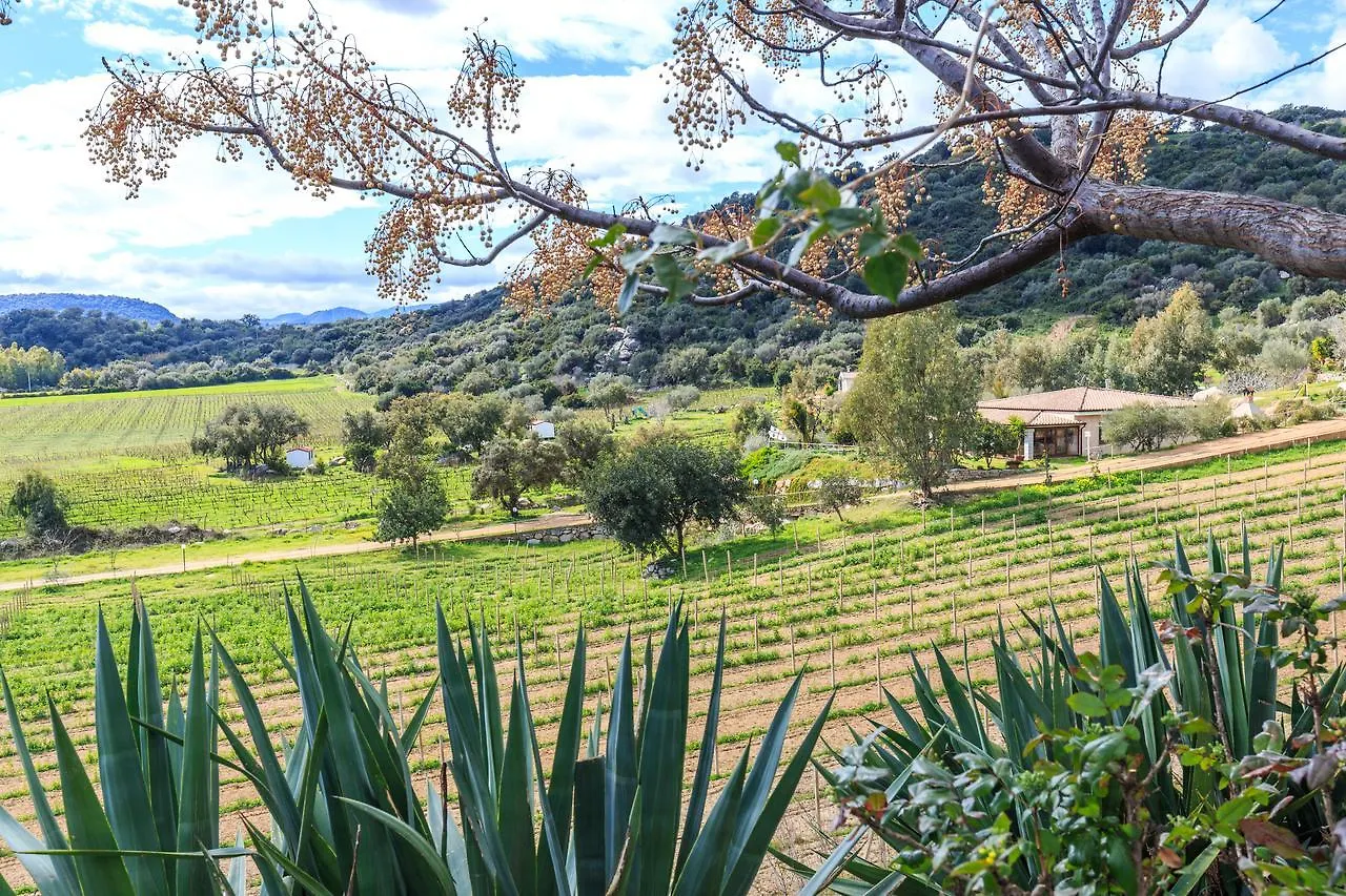 Agriturismo Su Solianu باري ساردو 0*,